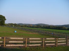 Fence Field