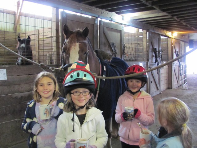 Girls In Helmet With A Horse