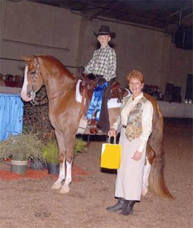 Young Boy Riding A Horse